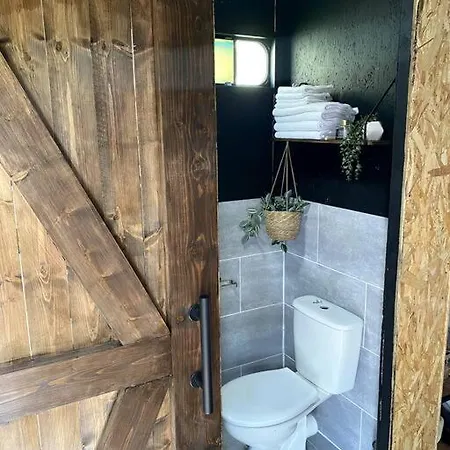 Horse Truck Tiny سوردْسْ